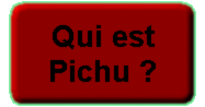 Qui est Pichu ?