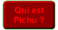 Qui est Pichu ?